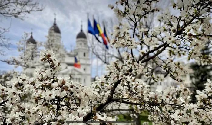 Fața Nevăzută a Iașiului